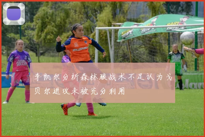 李凯尔分析森林狼战术不足认为戈贝尔进攻未被充分利用