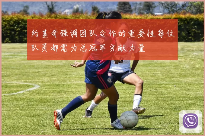 约基奇强调团队合作的重要性每位队员都需为总冠军贡献力量