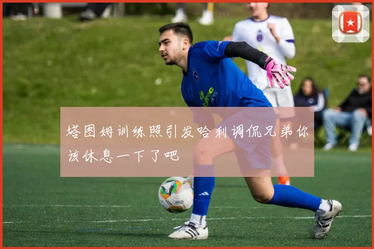 塔图姆训练照引发哈利调侃兄弟你该休息一下了吧