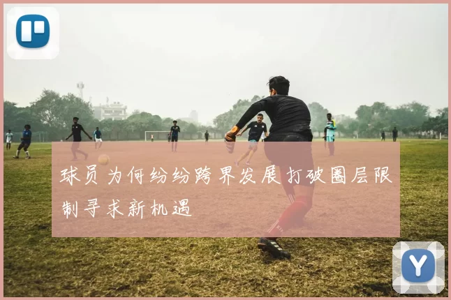 球员为何纷纷跨界发展打破圈层限制寻求新机遇