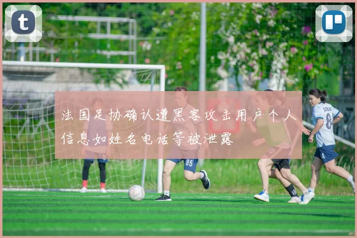 法国足协确认遭黑客攻击用户个人信息如姓名电话等被泄露